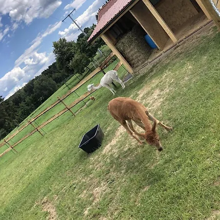 Komfortables Im Bayerischen Wald Am Alpakahof Mit Saunahaus *