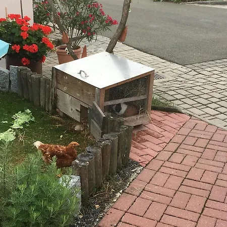 Komfortables Im Bayerischen Wald Am Alpakahof Mit Saunahaus Waldmünchen