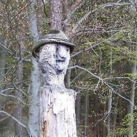 Komfortables Im Bayerischen Wald Am Alpakahof Mit Saunahaus Prázdninový dům Waldmünchen